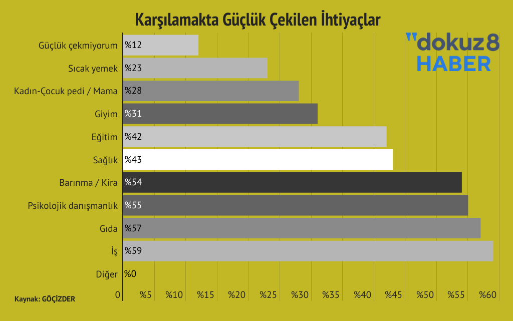 Gocizder Ekonomik Karsilanamayan Ihtiyaclar