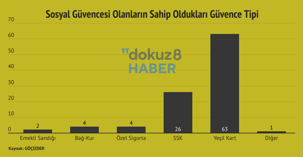 Gocizder Ekonomik Meslek Dagilimi (1)