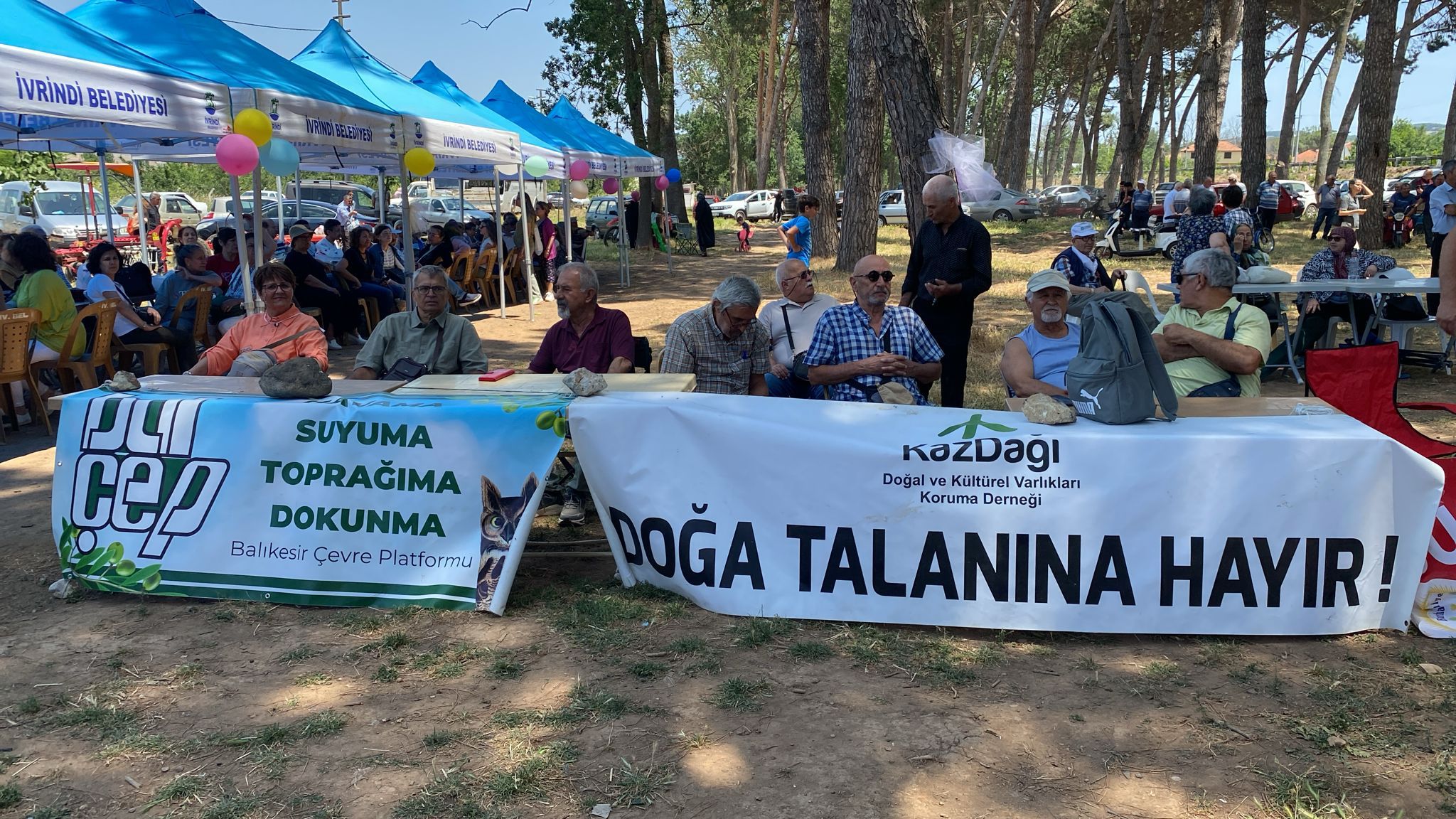 Bulut Çiğdemi Festivali