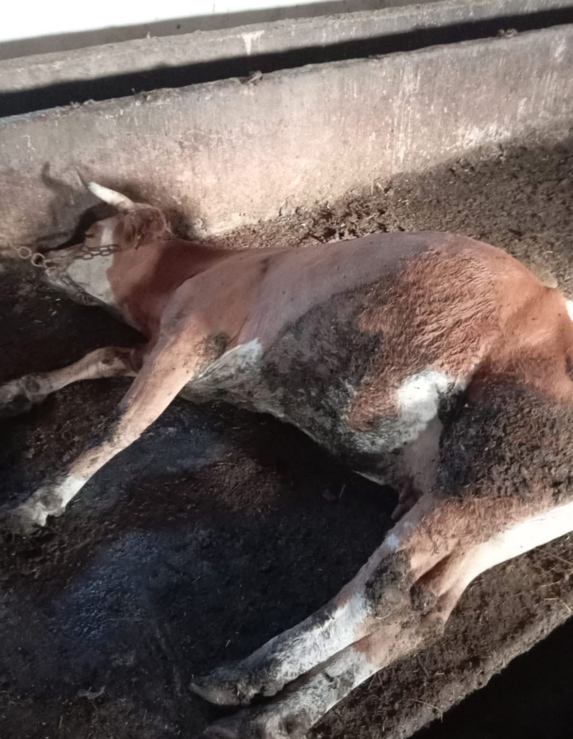 Ead46D83 9E06 4511 Afc2 C9312E4Ca37A