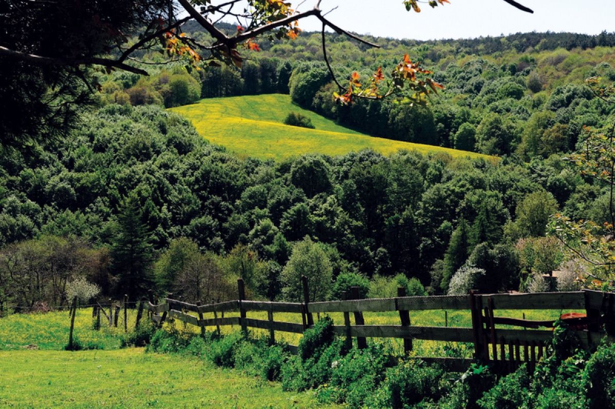 Polonezköy Tabiat Parkı