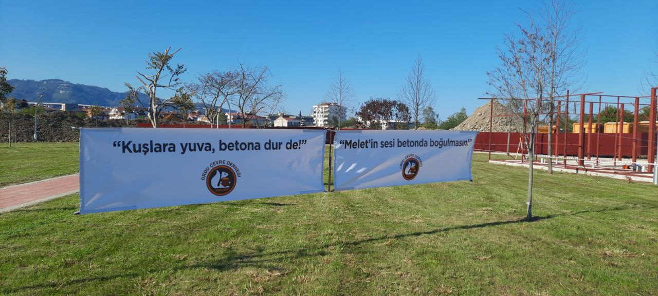 Ordu’da Protesto Ordulular Betonlaşma Değil, Yeşil Alan Istiyor