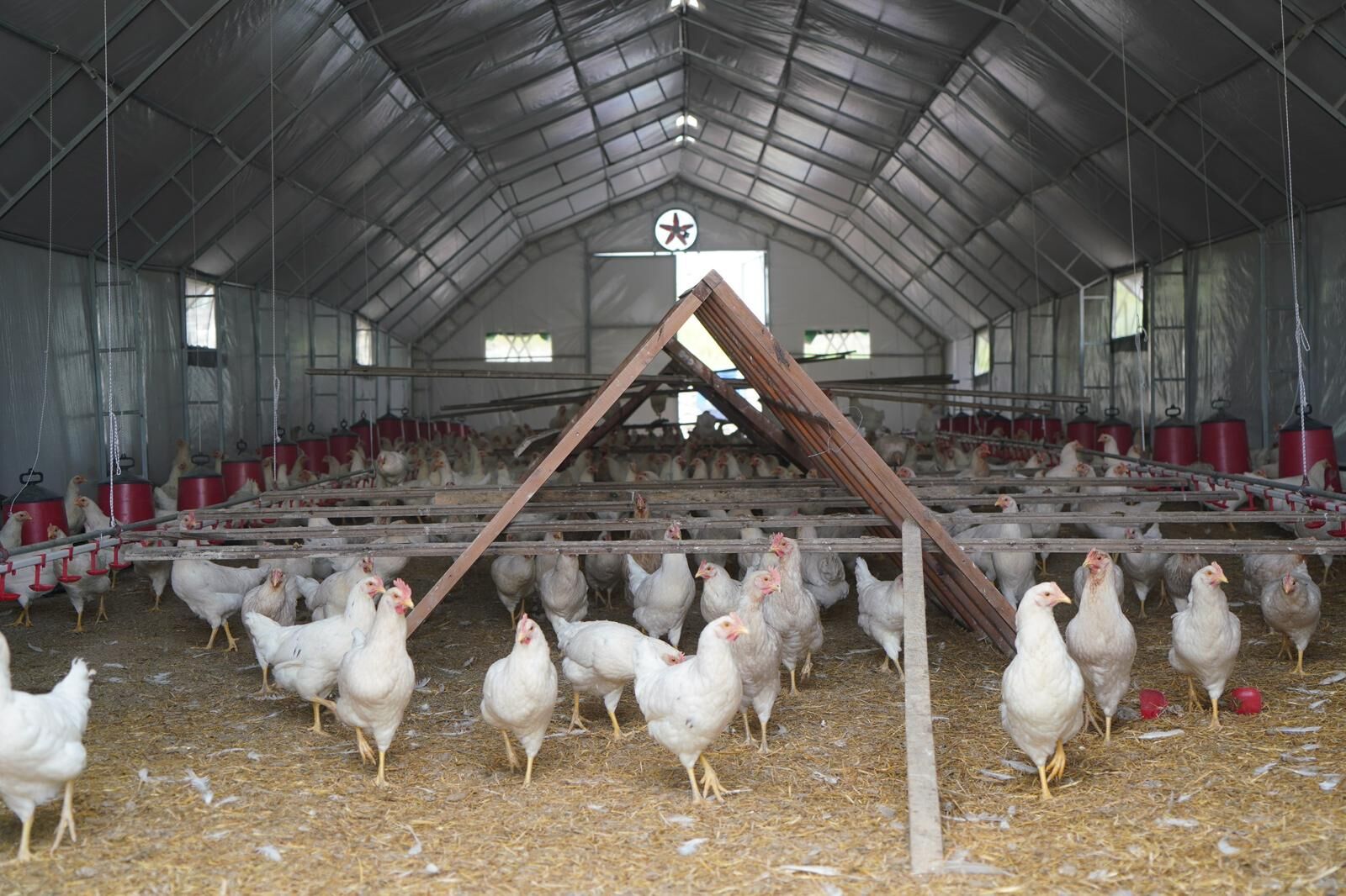 Adıyaman Belediyesi’nin Kümes Hayvancılığı Tesisi’nde Üretim Başladı